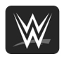 WWE Jason Silvestri Client Project